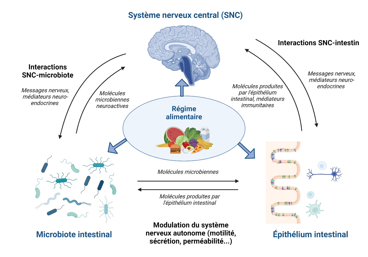 Le Microbiote Racinaire Des Plantes Planet Vie